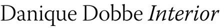 Danique Dobbe Interior